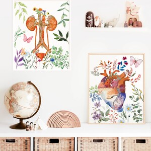Anatomy Print Set of 6 Doctor Gift Science Wall Art Classroom Decor ...