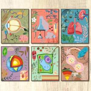Ensemble d'affiches de classe de sciences Décoration de salle de classe de collège Cadeau de scientifique Galerie de cours de sciences Décoration murale Décoration de tableau d'affichage scientifique