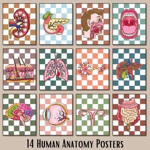 Biologie Klassenzimmer Dekor menschliche Anatomie Poster Medizinische Wandbilder Anatomische Kunstdrucke Medizinische Kunst Menschliche anatomische Organe Arzt Geschenk