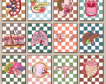 Biologie klas decor menselijke anatomie posters medische muur foto's anatomische kunst wordt afgedrukt medische kunst menselijke anatomische organen arts cadeau