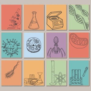 Science Classroom Poster Set Science estudiante regalo biología arte impresión Química Stem Impresiones microbiología impresiones Ciencia tablón de anuncios decoración