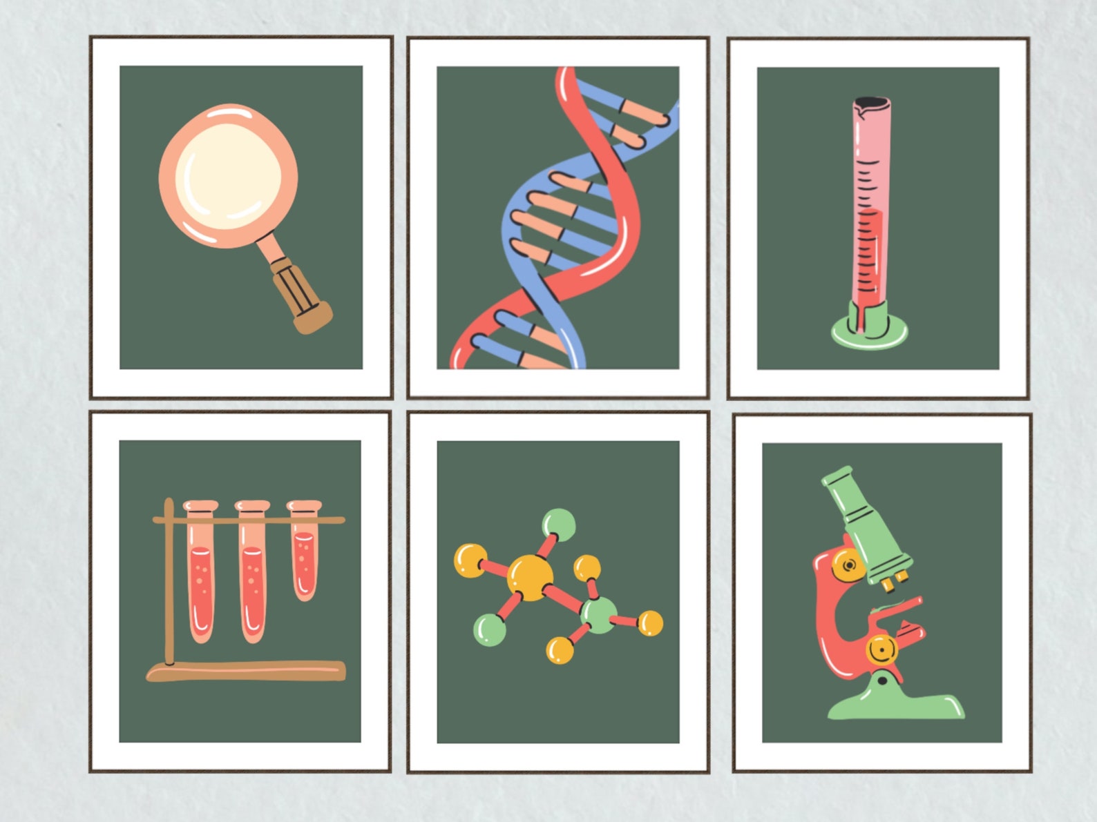 Science Class Gallery Wall, Classroom Decor, High School Middle School ...