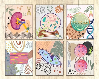 Impresiones de pared de biología, impresiones de acuarela Boho, impresiones de ciencia, arte de pared de aula Boho, decoración de guardería, conjunto de impresiones de biología, artes de acuarela