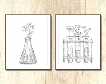 May include: Two black and white line drawings of flowers in vases. The first image shows a single flower in a round-bottom flask. The second image shows three flowers in test tubes on a stand.