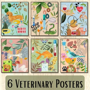 May include: Set of six veterinary-themed posters. Each poster features watercolor illustrations of animals, medical tools, and botanical elements. The posters include a dachshund, a snake, a cat, a goldfish, a parakeet, and a dog food bag. The text at the bottom reads "6 Veterinary Posters."