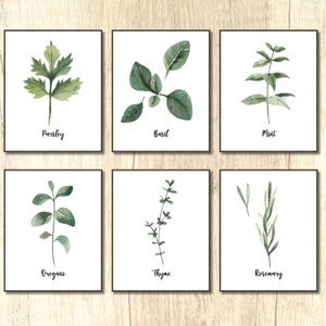 Herb Prints Kitchen herbs Kitchen wall art Print Set of 6 Herb Printables Watercolor Herb Set Kitchen Printables Botanical decor Rosemary