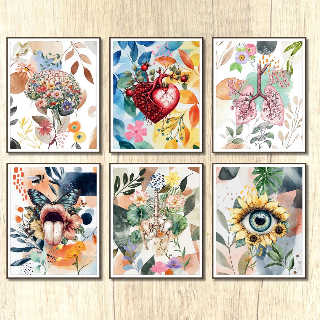 Human Anatomy Wall Art Set of 6 Digital Download Medical Anatomy Prints ...