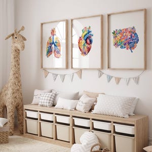 Human Anatomy Posters Brain Watercolor Print Lungs Wall Art Human Heart ...