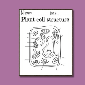 5 Set, Plant Cell Classroom Science Poster Art Printable, Science ...