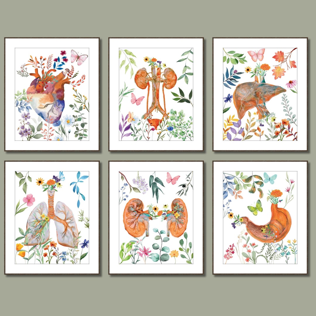 Anatomy Print Set of 6 Doctor Gift Science Wall Art Classroom Decor ...
