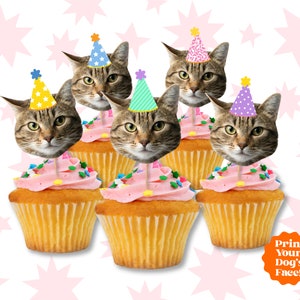 Custom Cat Photo Cupcake Toppers - Cat Birthday Cupcake - Pet Photo Cupake Toppers-- Cat Party Supplies - Cat Photo Cupcake -Cat Decorations