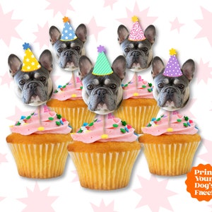 Custom Dog Photo Cupcake Toppers - Dog Birthday Cupcake - Pet Photo Cupake Toppers-- Dog Party Supplies - Dog Party Decorations