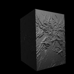 Op de afbeelding: Een zwarte kubus met een getextureerd oppervlak met een gedetailleerd, abstract ontwerp. Het ontwerp lijkt een gestileerd wezen met ingewikkelde details te zijn.