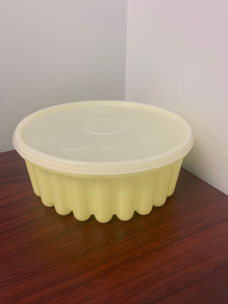 Valleybrook Farms Plastic Jello Mold W/lid 48 Fl. Oz. 6 Cups Etsy