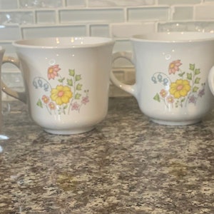 Vintage Set of 4 Corelle Meadow by Corning Coffee Mugs