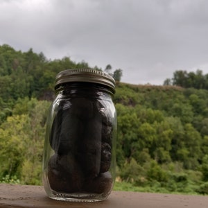 Jet Stone / Lignite  raw mason jar full