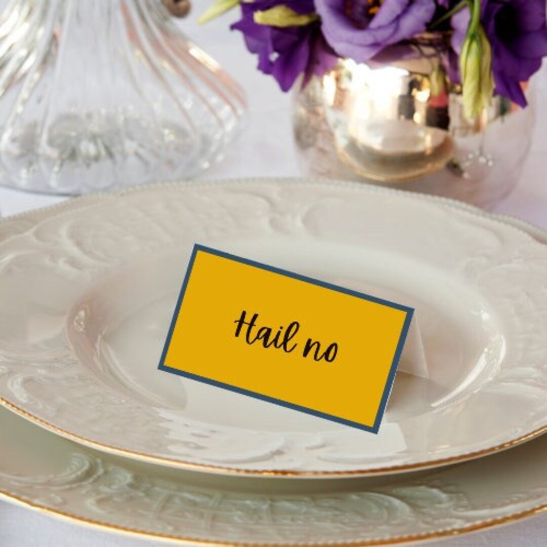 8 Funny Printable Passover Place Cards, Elevated Passover Seder, Fun ...