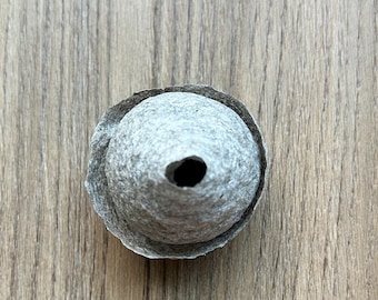 Real wasp nest, whole wasp nest, bees nest, bee hive, rustic decor, paper wasp nest, hornets nest, entomology, spells for protection