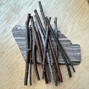 12 craft sticks, mixed wood bundle, real twigs, short sticks, decorative twigs, real sticks, natural twigs, fresh sticks, 6-8&quot; craft sticks