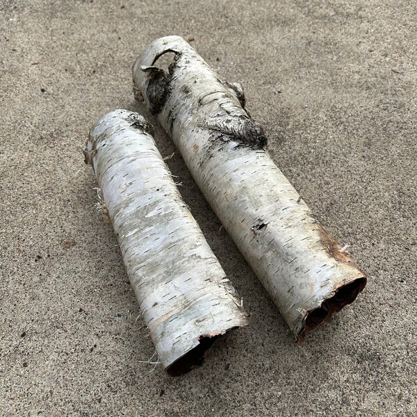 Birch bark tubes, 14" and 12" tubes, birch craft supply, wedding table, gift for crafter, natural bark, terrarium, white birch, real birch