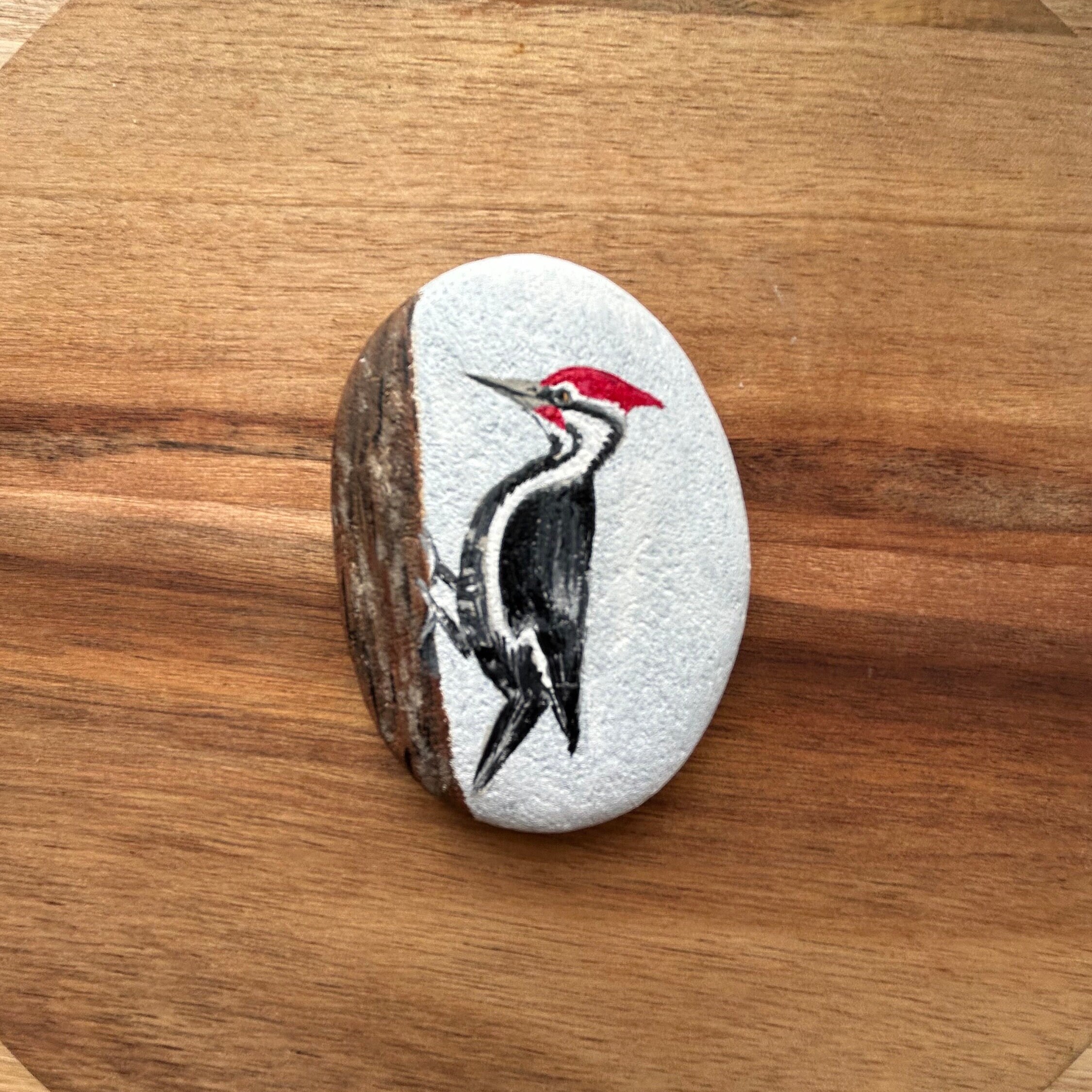 Pileated Woodpecker Painted Rock, Woodpecker Painted Rock, Largest