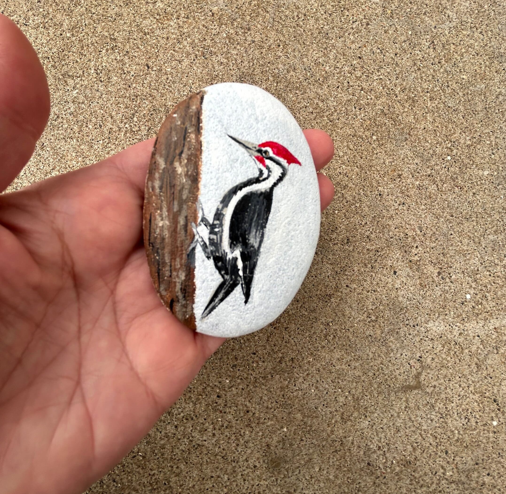 Pileated Woodpecker Painted Rock, Woodpecker Painted Rock, Largest