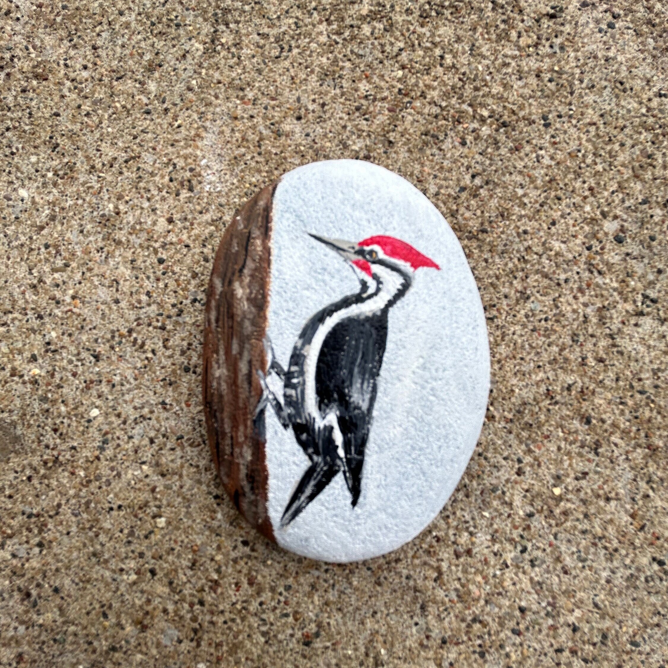 Pileated Woodpecker Painted Rock, Woodpecker Painted Rock, Largest