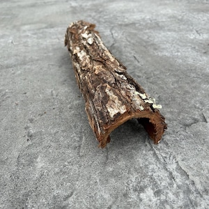 May include: A piece of tree bark with a curved shape, featuring a rough, textured surface with shades of brown, white, and hints of green. The bark appears to be naturally weathered, with a hollowed-out interior.
