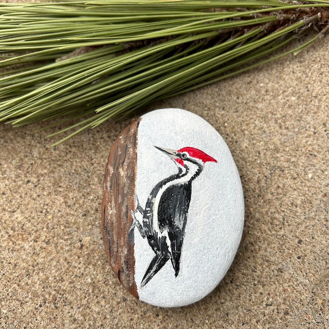 Pileated Woodpecker Painted Rock, Woodpecker Painted Rock, Largest