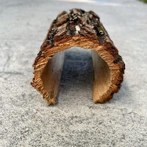 May include: A hollow, arched piece of natural tree bark with a rough, dark brown exterior and a lighter, fibrous tan interior. The curved structure forms a tunnel-like shape, showcasing the organic texture and layered grain of the wood.