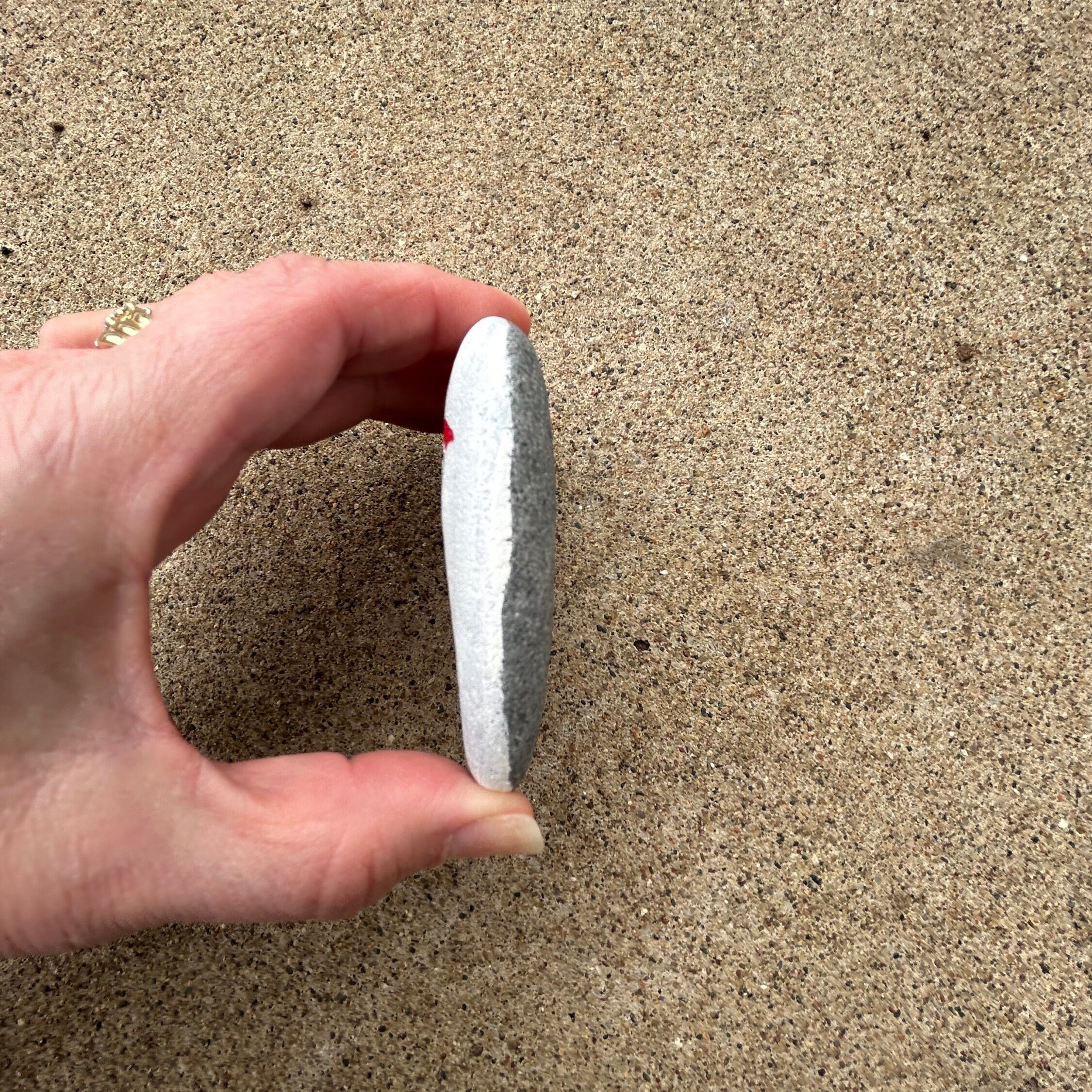 Pileated Woodpecker Painted Rock, Woodpecker Painted Rock, Largest