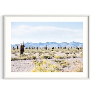 Cardon Nationalpark | Wüstenprint | Fotografie | Salta, Argentinien