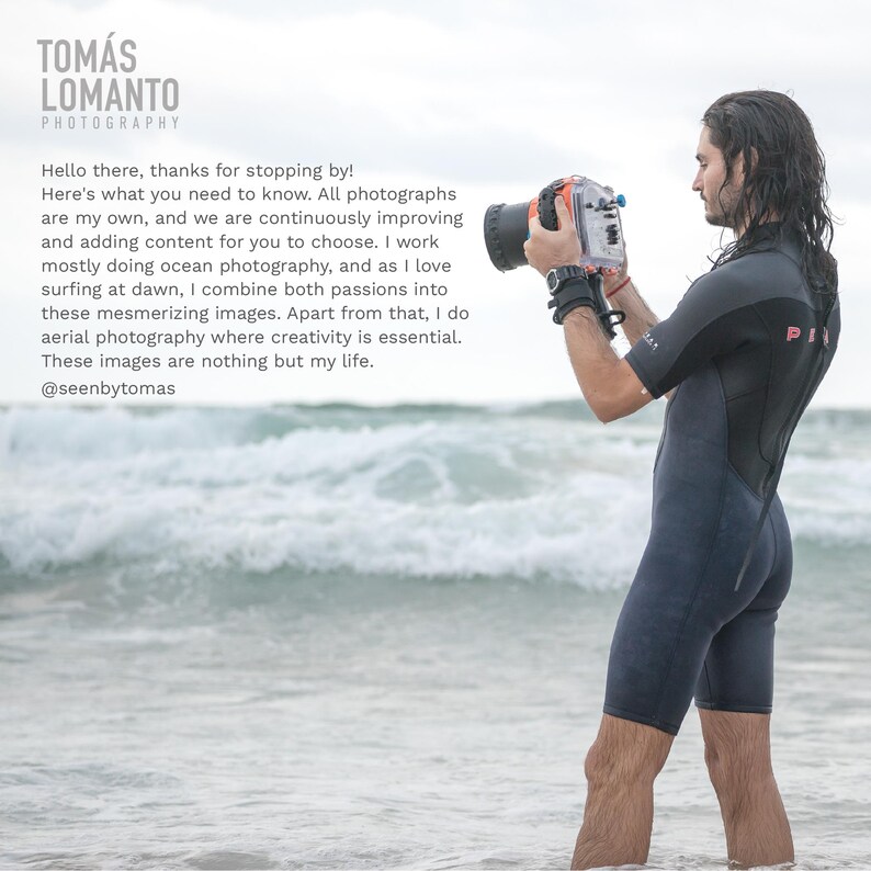 North Sydney Aerial Photography Milsons Point, Australia Jacaranda