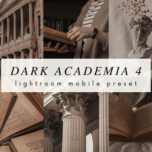 Aesthetic Lightroom Mobile Preset | Dark Academia 4 | Bookstagram filters, Instagram, cozy, vintage