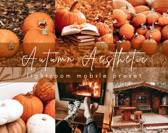 Op de afbeelding: Een collage van afbeeldingen met een knusse hut, een open haard en pompoenen. De tekst "Autumn Aesthetic Lightroom Mobile Preset" wordt weergegeven op een bruine achtergrond.