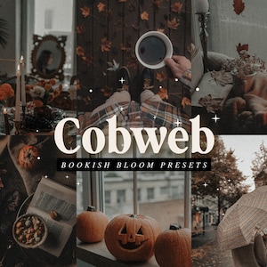 Aesthetic Lightroom Mobile Preset | Cobweb | Bookstagram filters, Instagram, cozy, vintage, autumn, fall, moody, dark, halloween, spooky