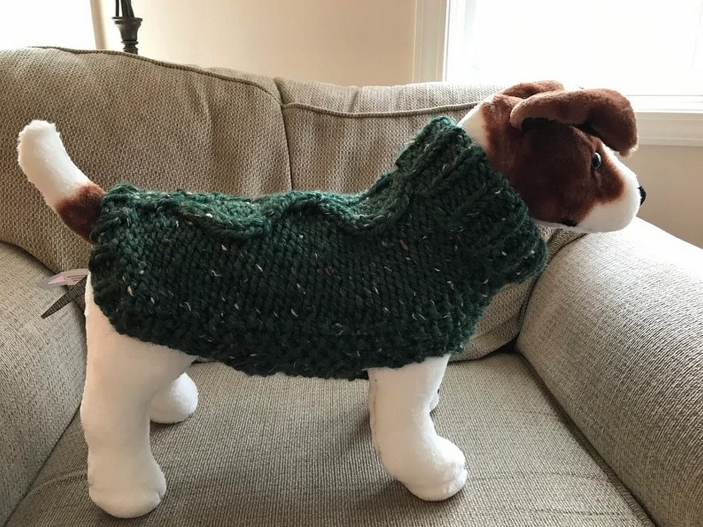 Does A Sweater Keep A Dog Warm