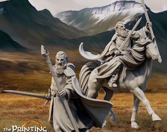 Gandalf™ the White and Peregrin Took