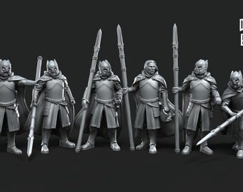 Grey Castle Court Guards 28mm miniatures dnd minis fantasy miniatures dungeons and dragons miniatures painting wargaming miniatures tabletop
