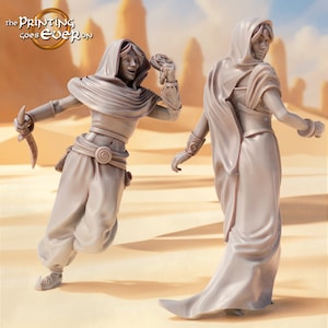 Easterner princess lady and rogue 28mm miniatures dnd minis fantasy miniatures dungeons and dragons miniatures  wargaming miniatures