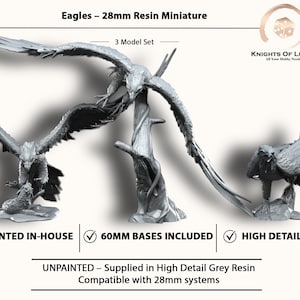 May include: A set of three unpainted resin eagle miniatures. The models are in various poses, with wings spread and perched on bases. The text reads "Eagles - 28mm Resin Miniature" and "3 Model Set". The bases are 60mm.