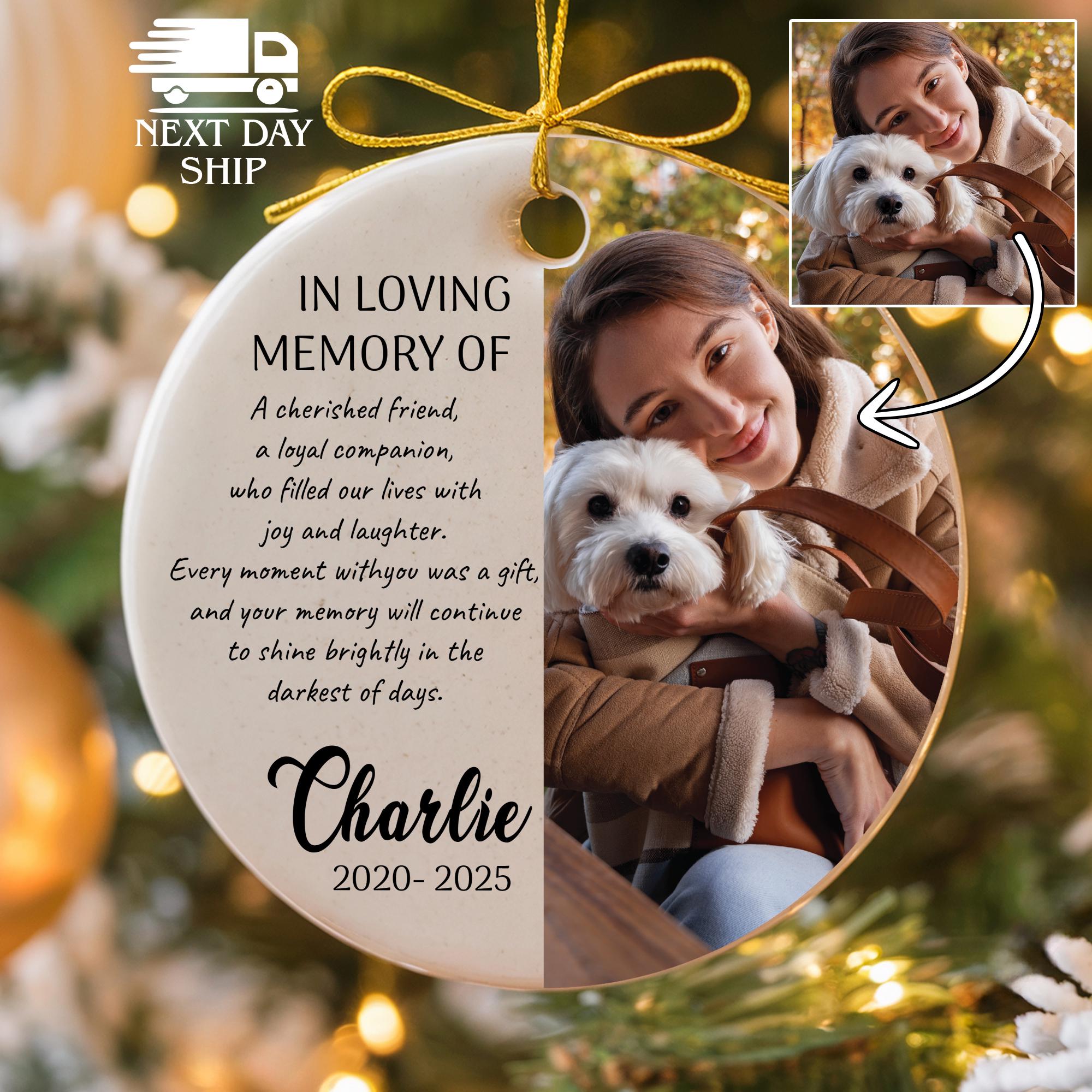 In Loving Memory of Pet Ornament with Photo, Pet Owner Loss Gifts, Personalized Dog Cat Name Ornament, Cat Dog Picture, Pet Remembrance