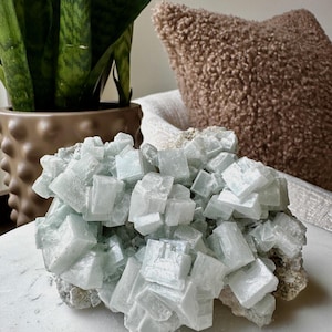 May include: A cluster of pale blue-green crystal formations. The crystals have a cubic structure and are arranged in a dense, irregular pattern. The crystals sit on a light gray base. A potted plant and a brown pillow are in the background.