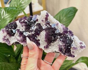 Lila & Blauer Kubischer Fluorit mit Phantomen aus der Wuyi Mine