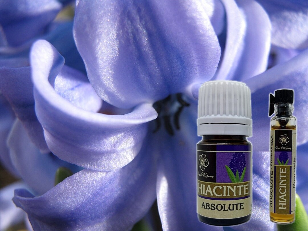 Hyacinth Absolute Perfume Oil Hyacinth Natural Fragrance Oil Etsy
