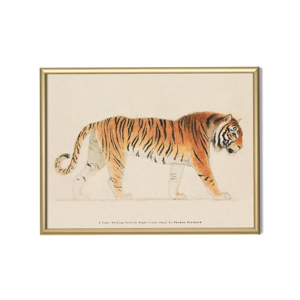 Tiger Wall Art, Tiger Oil Painting, Tiger Print, vintage Tiger Print, Couleurs neutres en sourdine, Pacing Tiger Art, Téléchargement numérique, #2