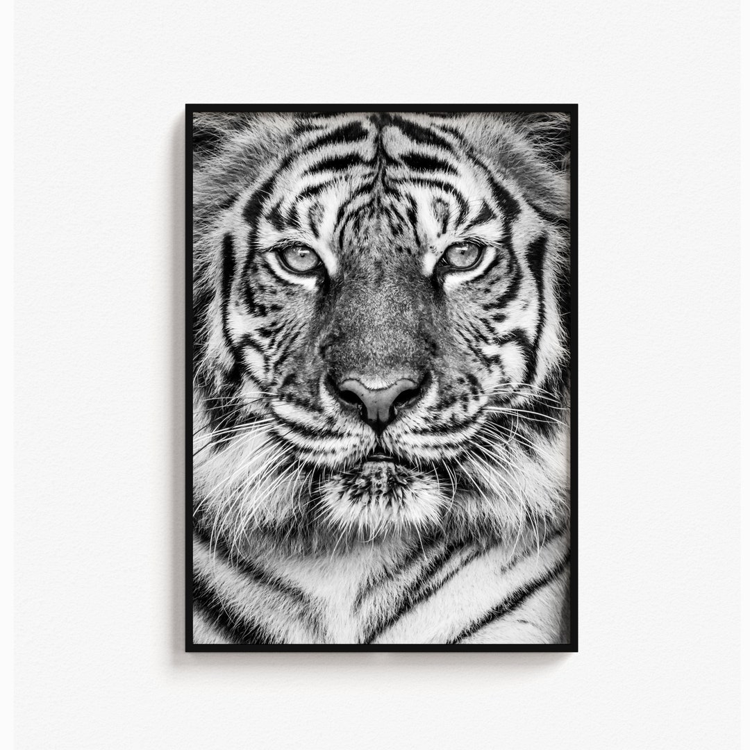 Tiger Face Wall Art Tiger Wall Art Tiger Face Close up Etsy