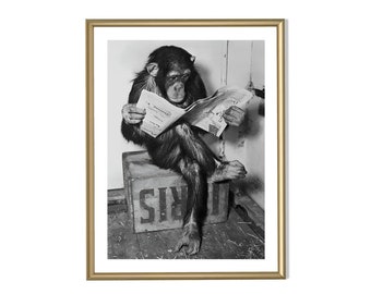 Reading Chimpanzee, Funny Wall Art, Humour, Black And White, Monkey Reading, Old Photo, Digital Download, Printable Art