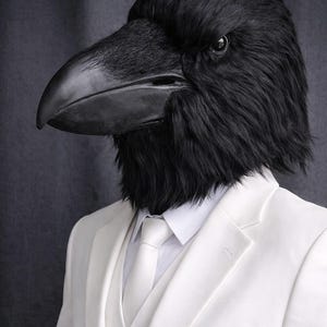 Realistic Raven Head Mask | Full Head Silicone Bird Mask | Gothic Animal Mask | Cosplay Costume Mask | Halloween Party Prop image 3