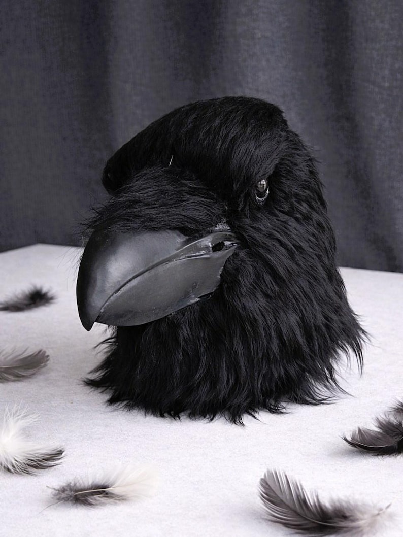 May include: A black raven mask with a large, curved beak and realistic feather-like texture. The mask is set against a neutral background with scattered feathers, creating a dramatic effect. The raven's eye is visible.